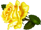 yellowrose